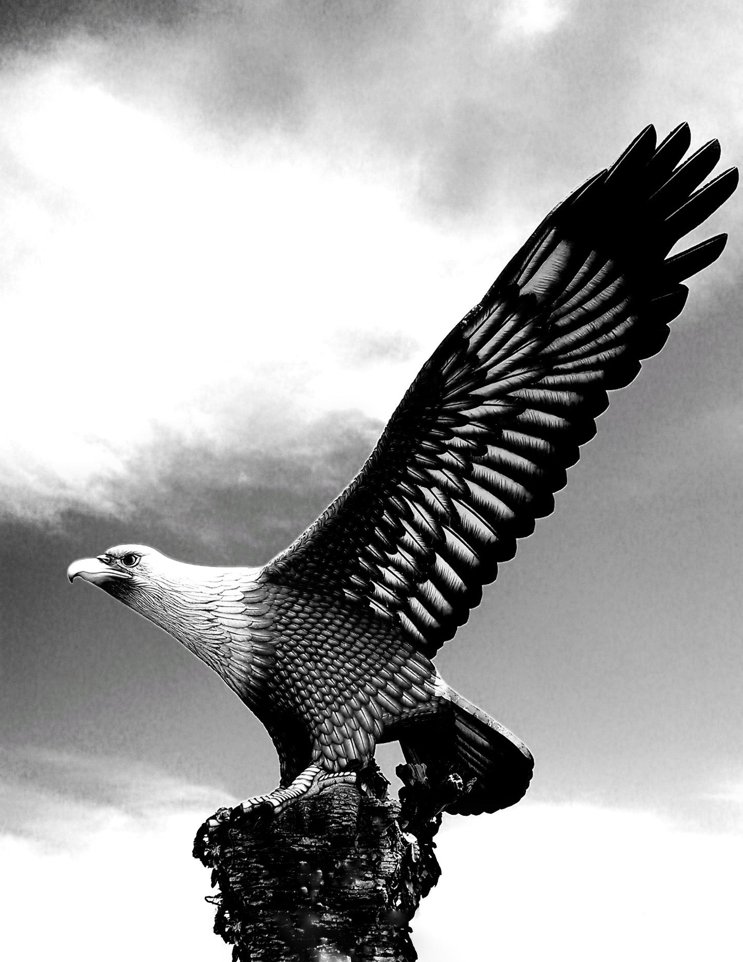 88 "The Eagle"