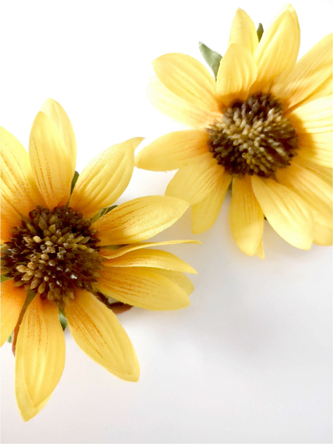 480 "Sunflowers"
