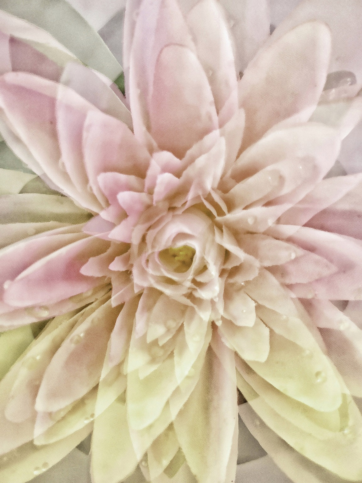 493 "Lotusflower"