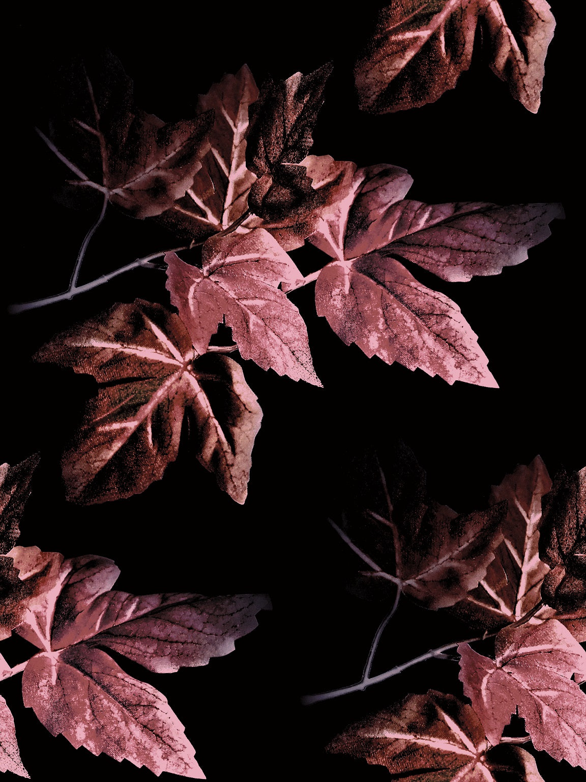 361 "Bed of Leafs"