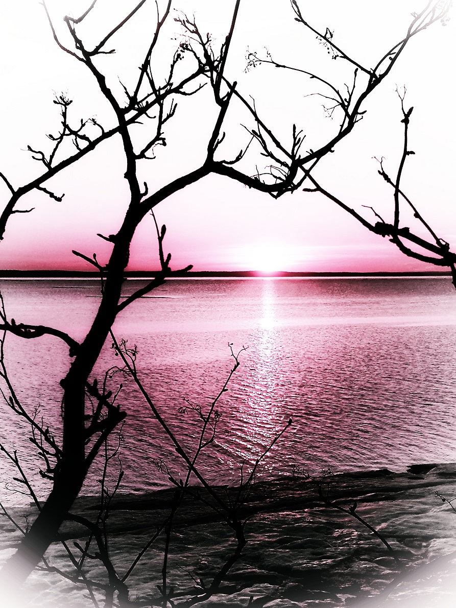 76 "Pink Sunset"