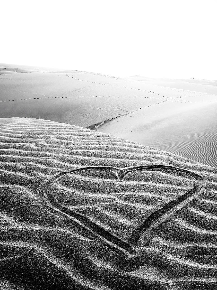 83 "Desert Love"