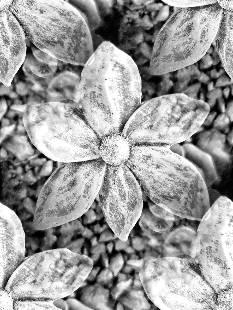 84 "Sandy Flower"