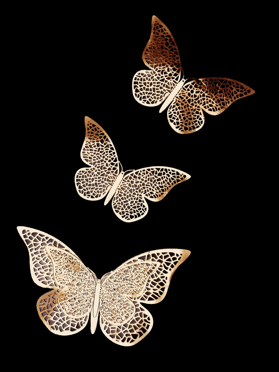 371 "Free Butteflies"
