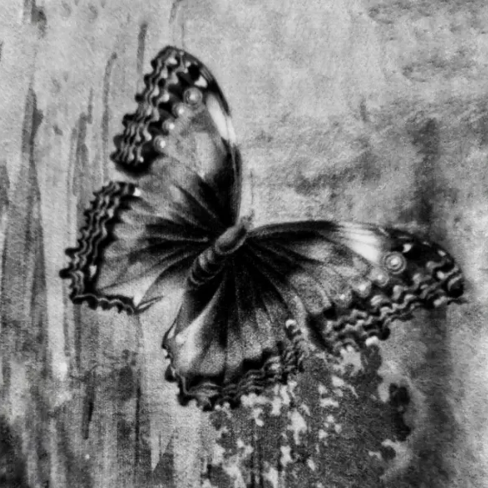 Kuddfodral "Butterfly Art"