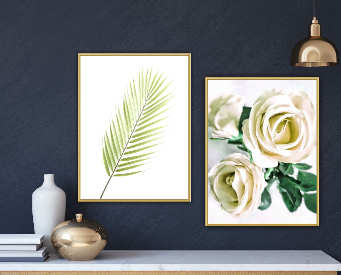 491 "Dreamy Roses"