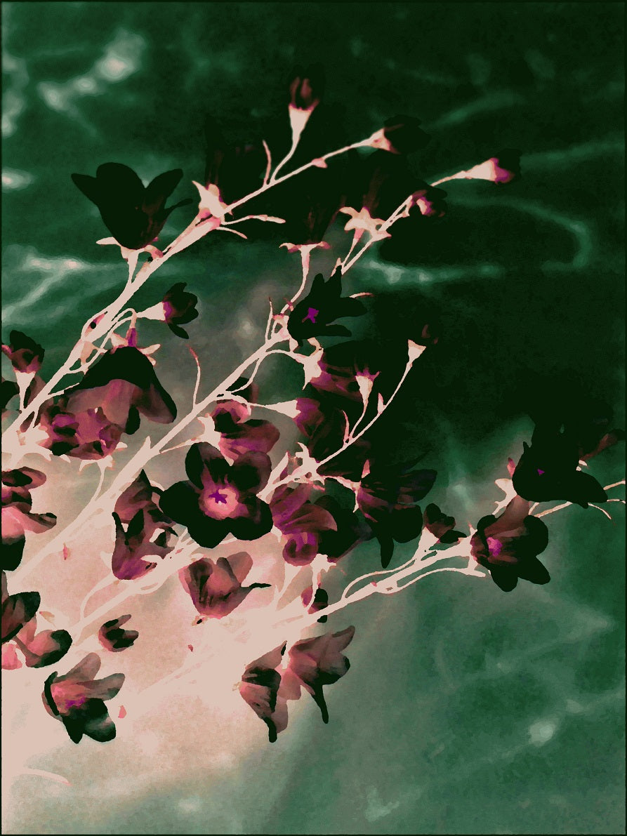 268 "Art of Flowers"