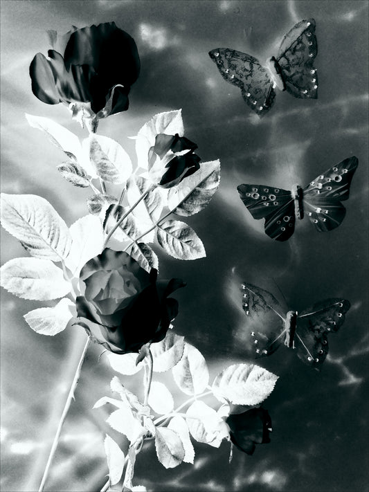 89 "Roses and Butterflies"