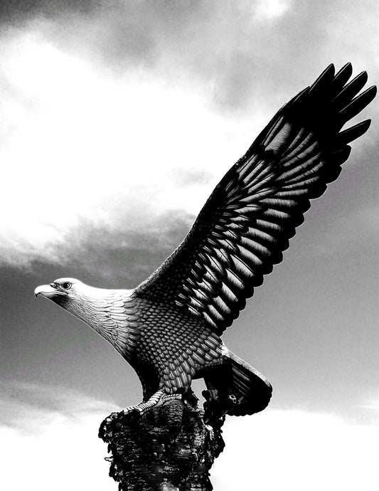 88 "The Eagle"
