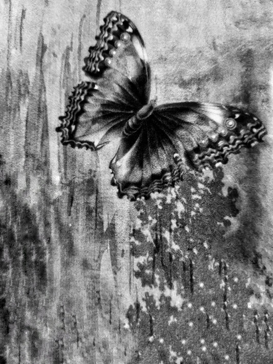 423 "Butterfly Art"