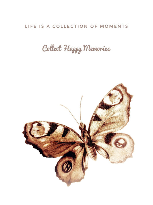 384 "Collect Happy Memories"