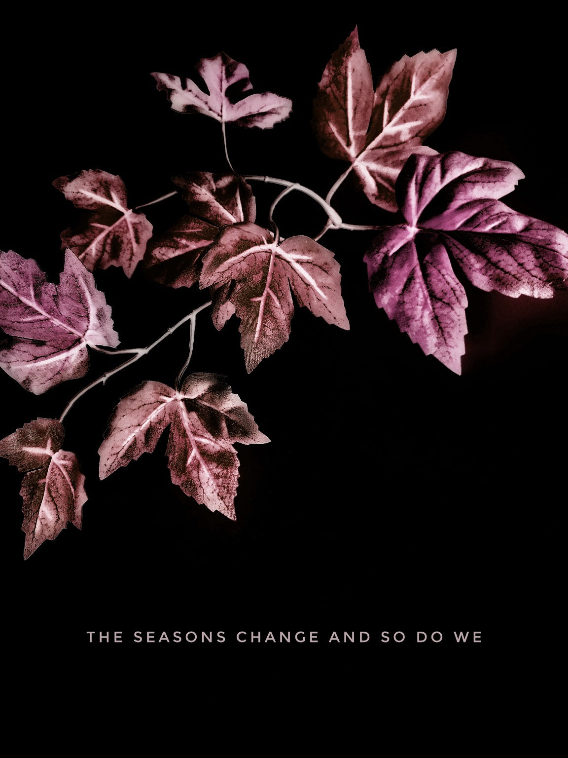 362 "The Seasons Change"