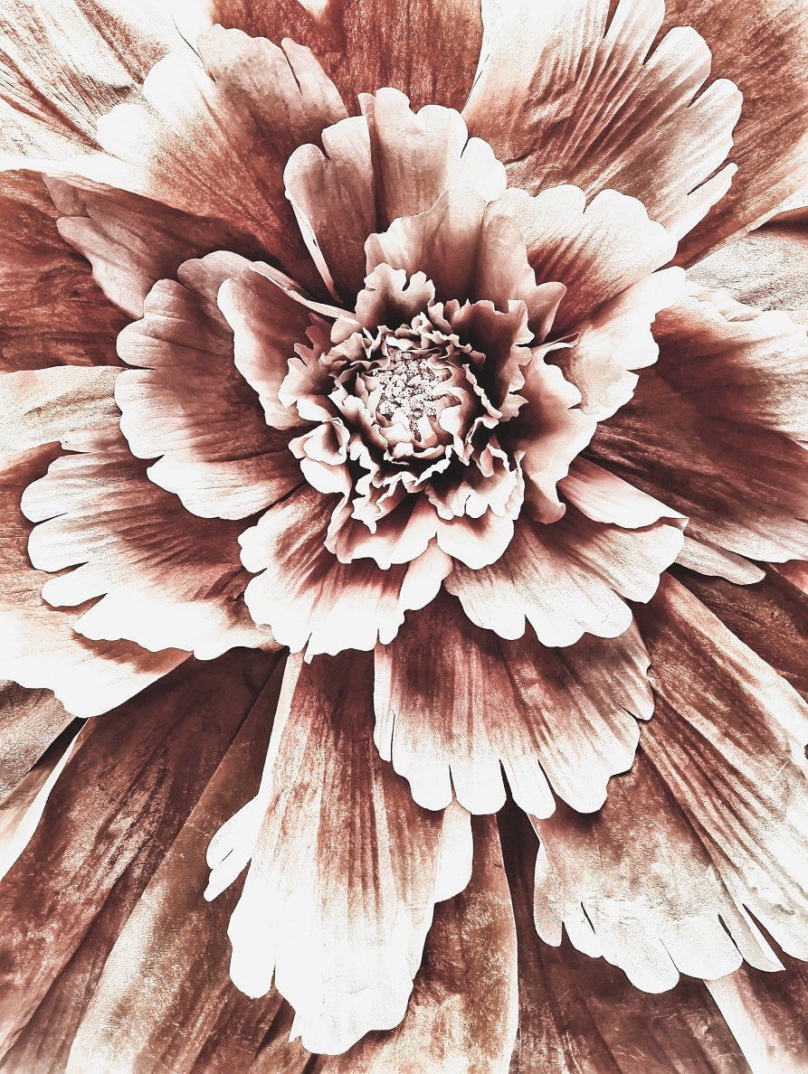 276 "Flower Explosion"