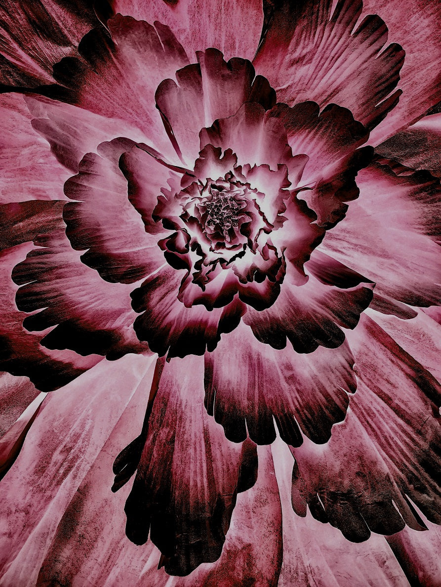 276 "Flower Explosion"