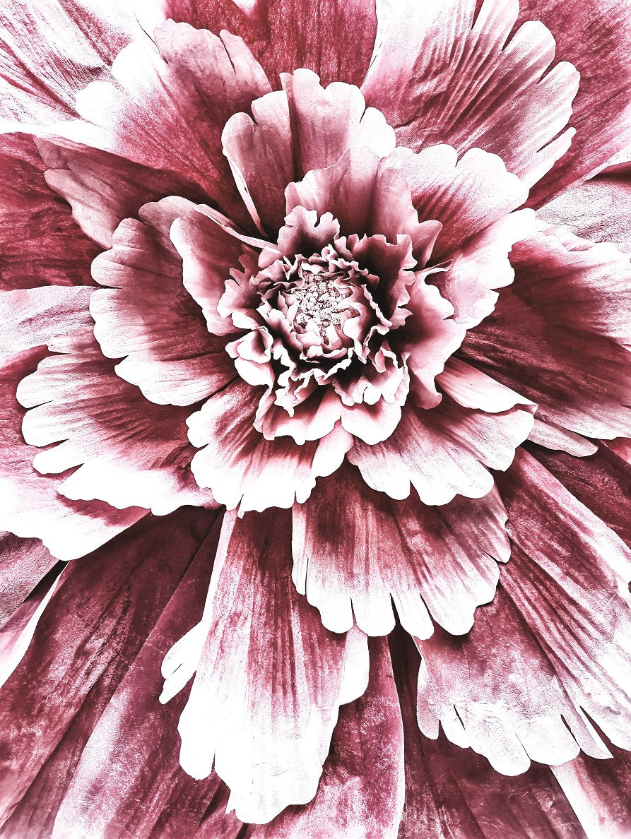 276 "Flower Explosion"