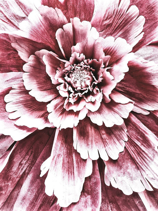 276 "Flower Explosion"