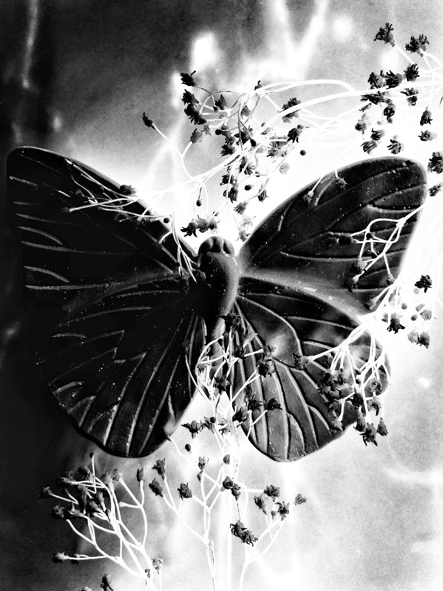 114 "The Butterfly"