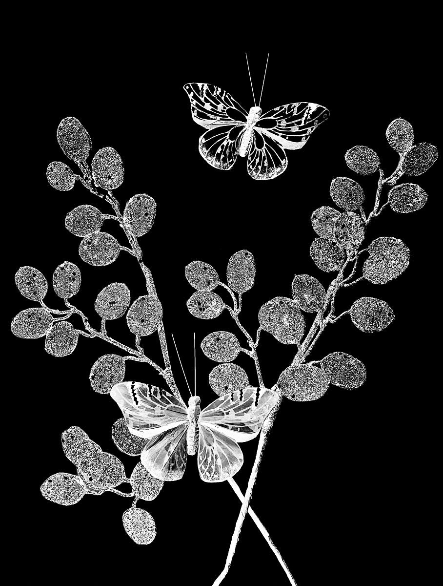 601 "Flying Butterflies"
