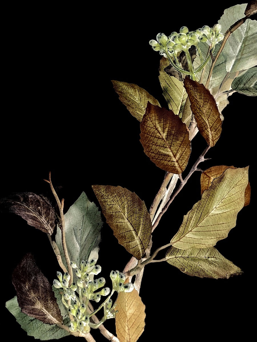 605 "Autumn Leafs"