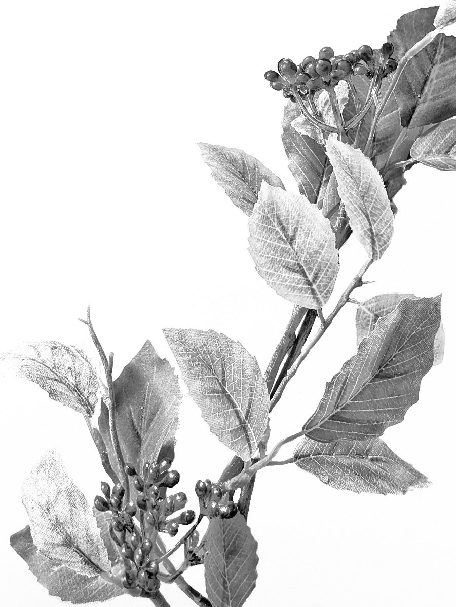 605 "Autumn Leafs"