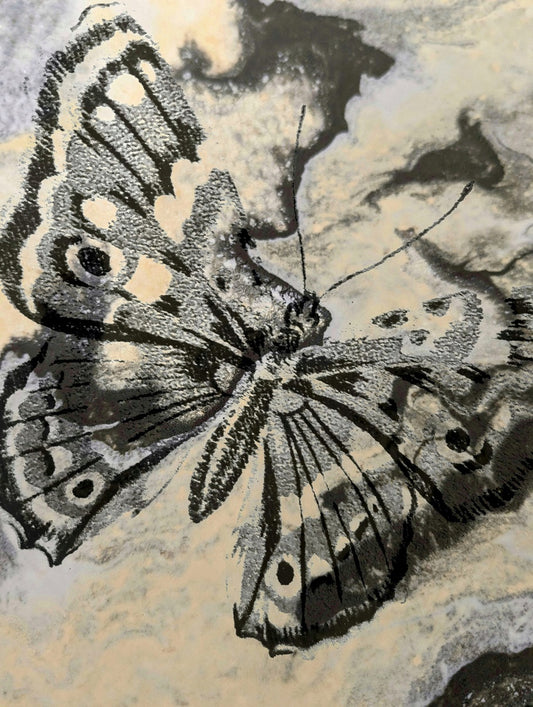 611 "Art of Butterfly"