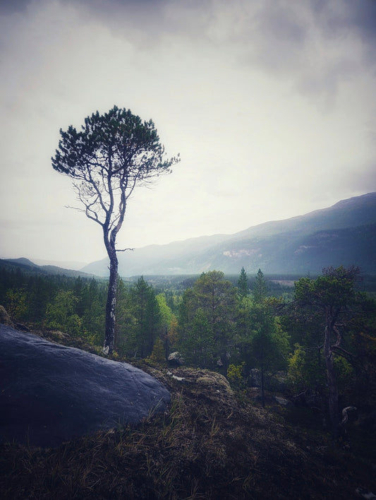 614 "Sound of Silence"