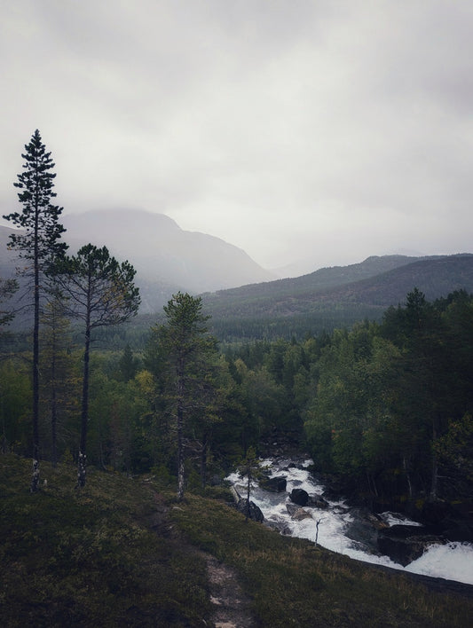 615 "Beauty of Nature"