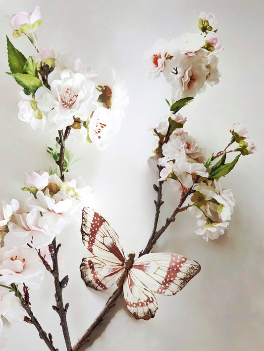 620 "Körsbärskvist"