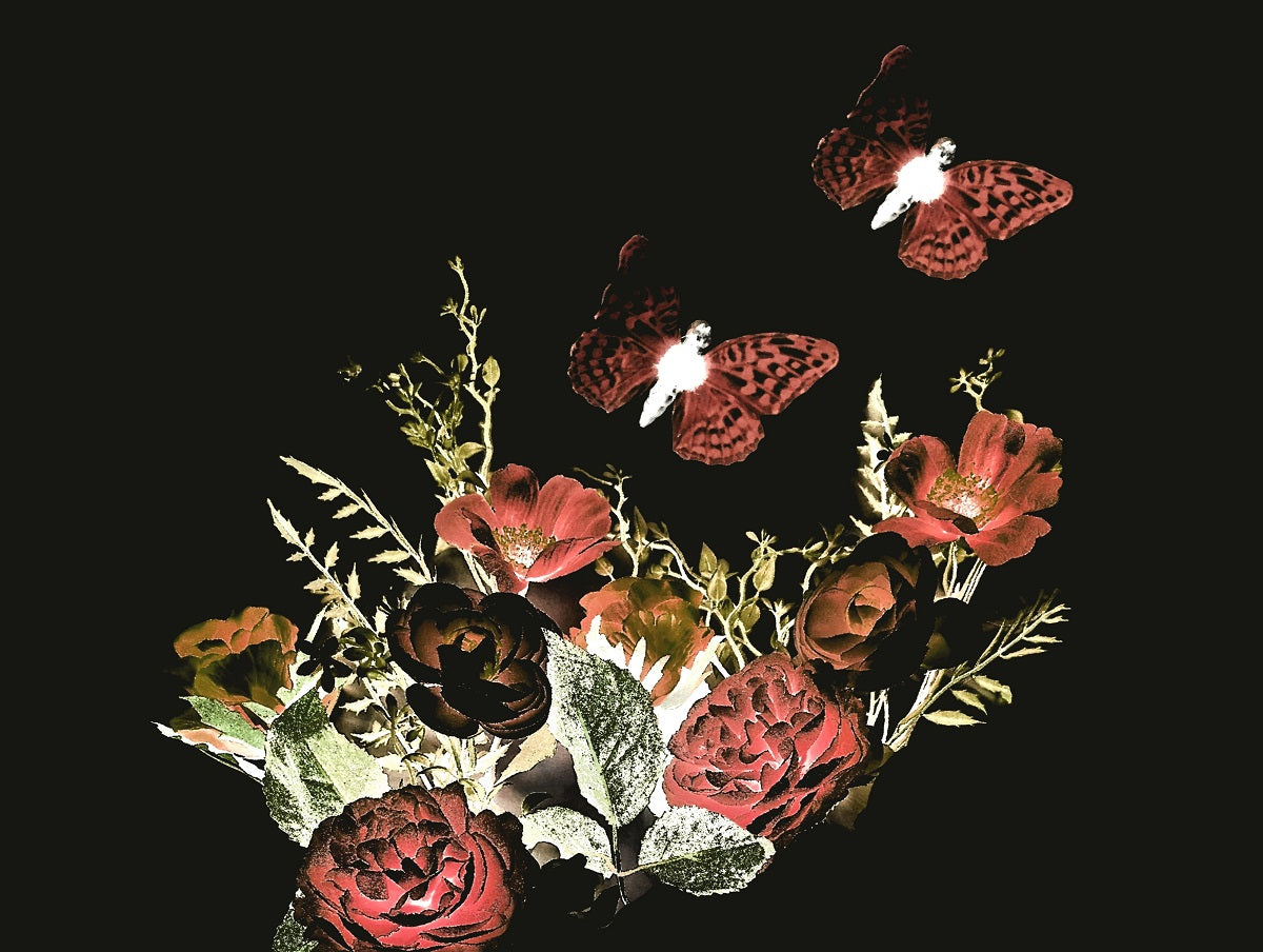 621 "Frihetens Fjäril" Liggande