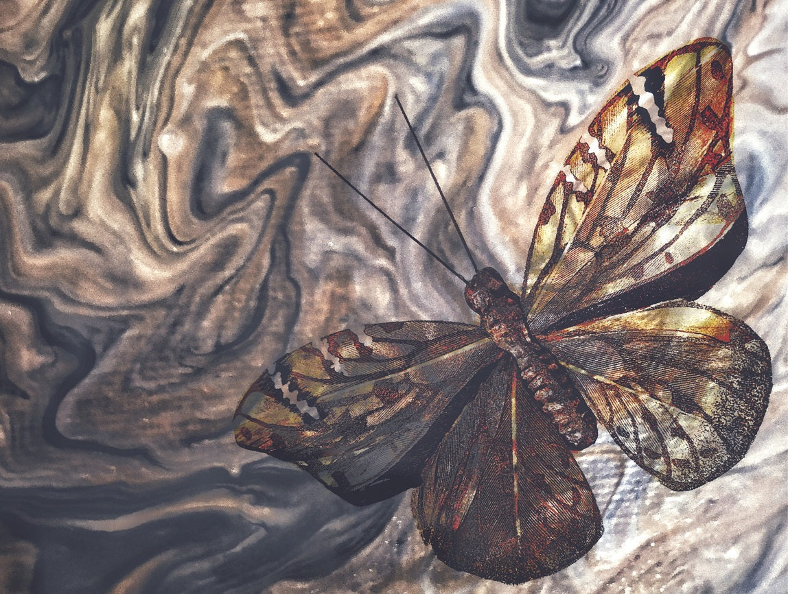 630 "Art of Butterfly 2"