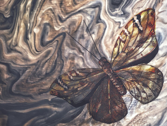 630 "Art of Butterfly 2"