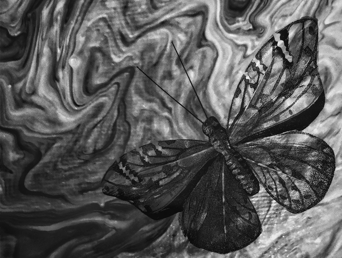 630 "Art of Butterfly 2"