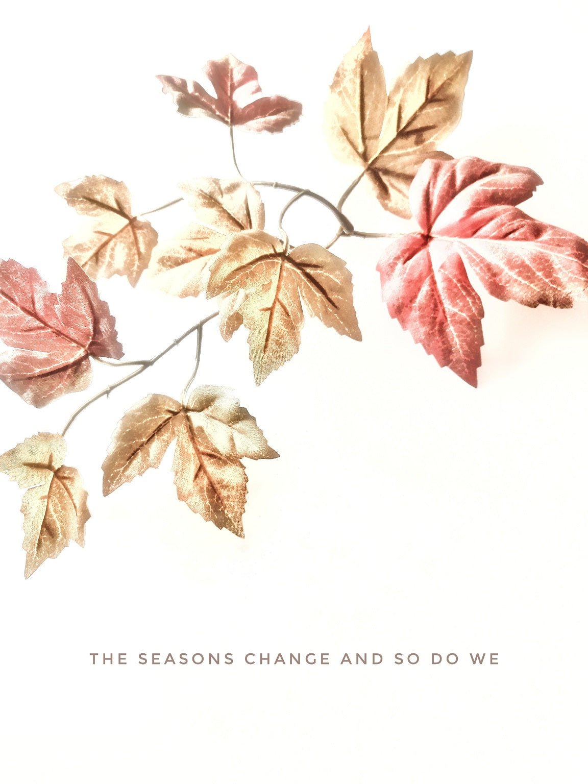 362 "The Seasons Change"