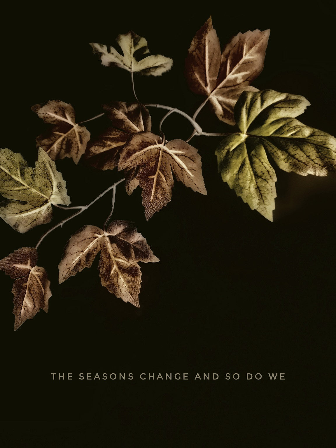 362 "The Seasons Change"