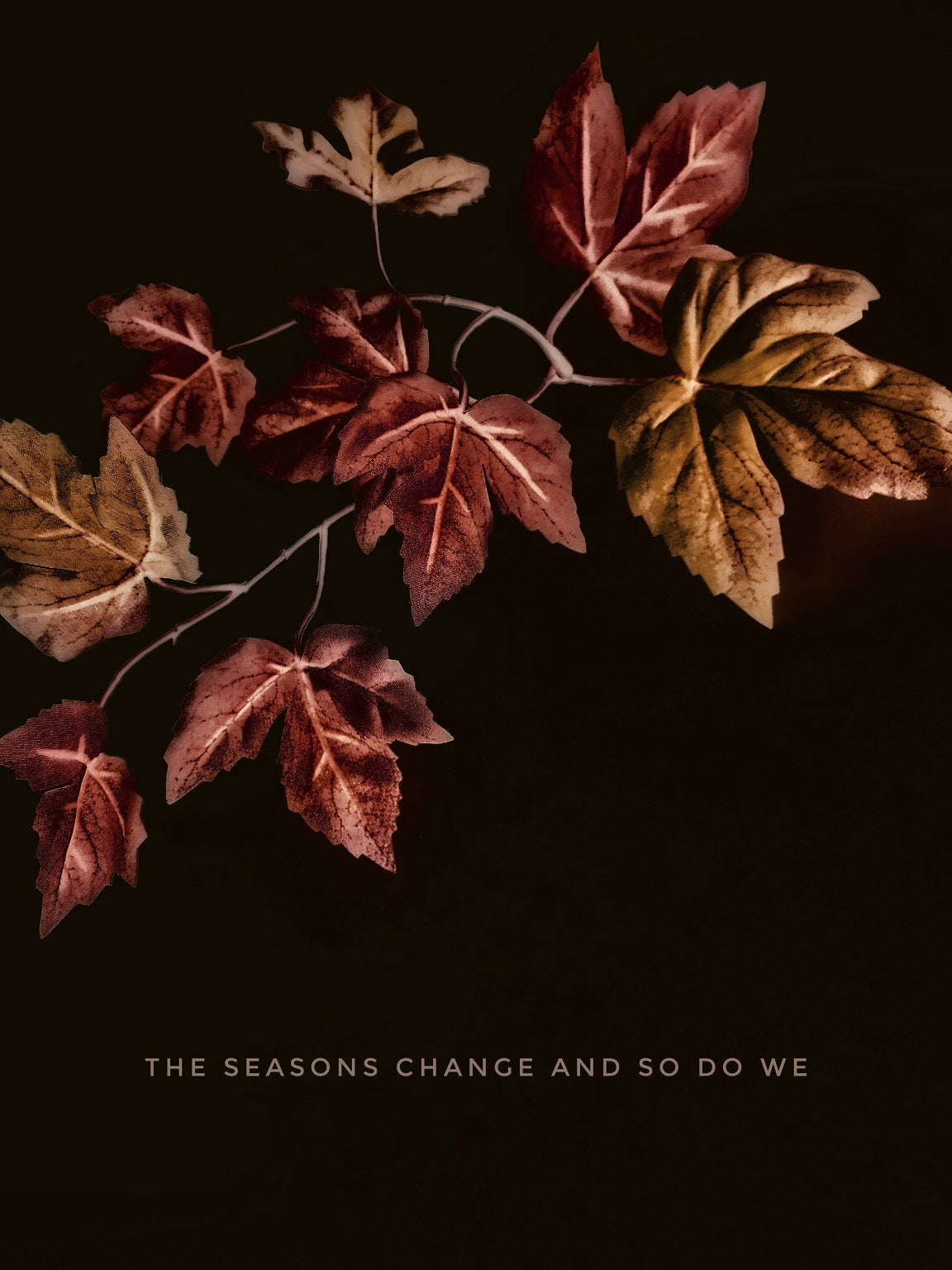 362 "The Seasons Change"