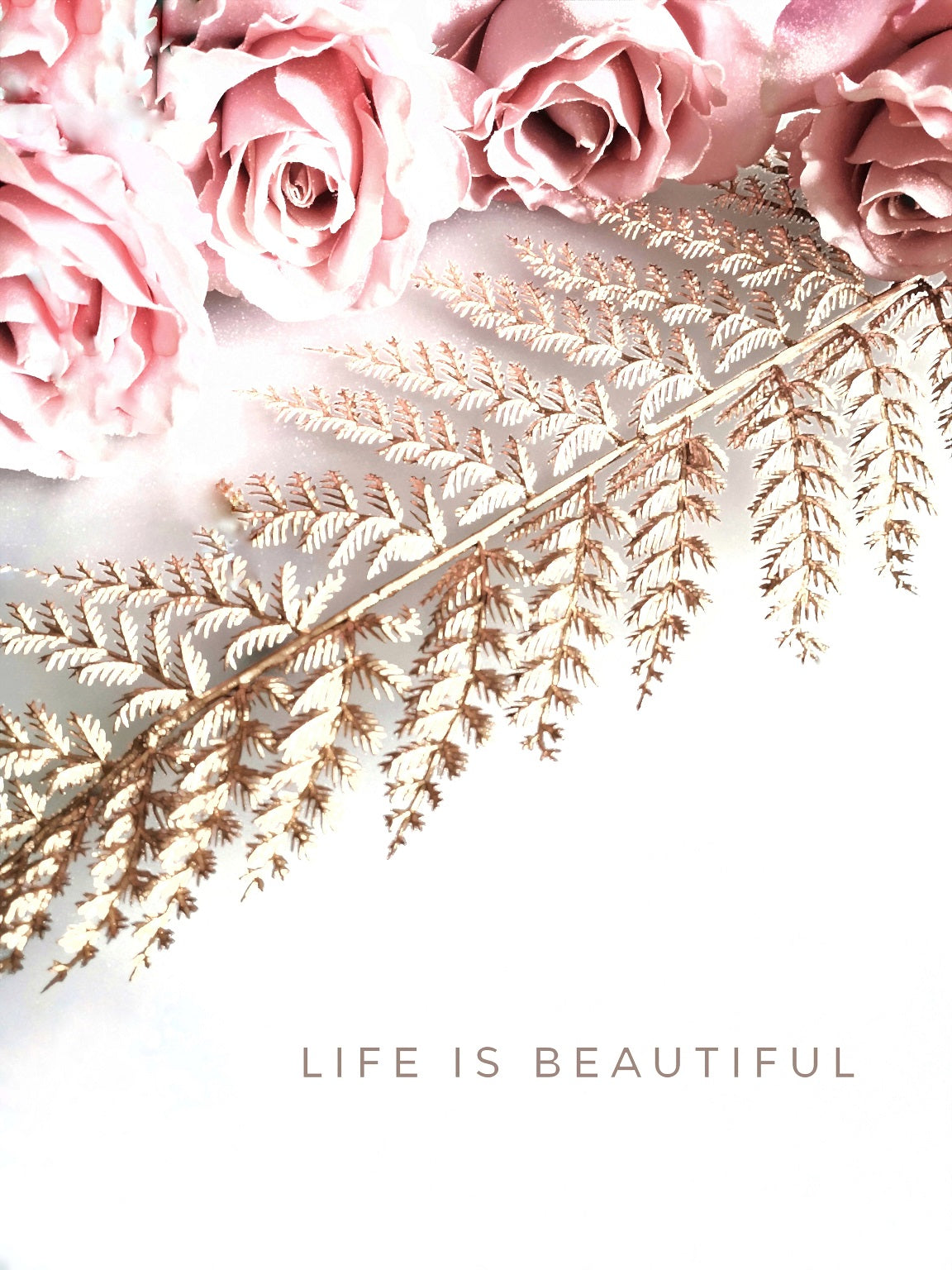 359 "Life is Beautiful"