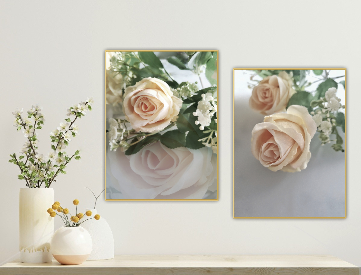 497 "Romantic Roses 2"