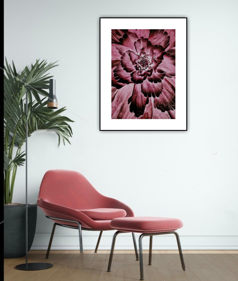 276 "Flower Explosion"